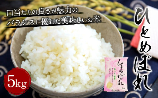 【令和6年産新米】大分県産 ひとめぼれ 5kg 【2024年10月下旬発送開始予定】 1348563 - 大分県竹田市