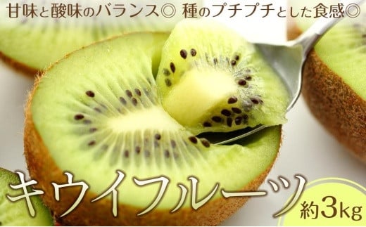キウイフルーツ 約3kg（24～33玉入り） 787954 - 香川県坂出市