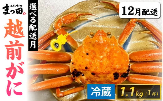 【12月配送】まっ田の越前がに 1.1kg×1杯[L-007009_02] 1425787 - 福井県福井市