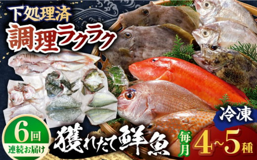 【全6回定期便】【平戸市場直送】旬の獲れたて鮮魚（冷凍）＜4〜5種類＞ 平戸市 / ひらど新鮮市場 [KAB229] 1423711 - 長崎県平戸市