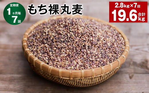 【1ヶ月毎7回定期便】 もち裸丸麦 計19.6kg（2.8kg✕7回） 麦 もち麦 丸麦 雑穀 大麦 1422650 - 大分県九重町