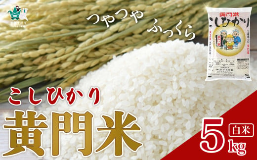 【新米先行予約 令和6年産】9月下旬発送可 新米 黄門米 コシヒカリ 白米 5kg | 茨城県産 常陸太田市 タツミ米穀 コシヒカリ こしひかり 5kg 5キロ 米 こめ コメ お米 白米 精米 お取り寄せ 贈答 人気 ランキング ごはん 贈り物 5キロ 風味 甘い 米どころ ブランド米 黄門米 水戸黄門 人気米