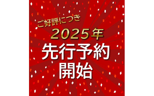 栃木県真岡市のふるさと納税 【先行予約】JAはが野厳選！とちぎのメロン2種食べ比べ3L 2玉 化粧箱入り　真岡市 栃木県 送料無料