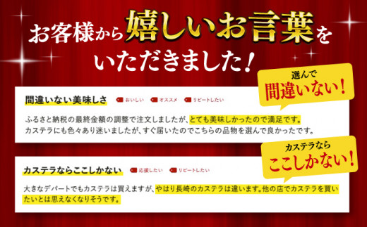 カステラ 長崎 贈答 ギフト 詰め合わせ 人気 和菓子 送料無料 常温 かすてら ざらめ ザラメ 文明堂 個包装 定期 定期便