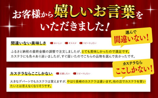 カステラ 長崎 贈答 ギフト 詰め合わせ 人気 和菓子 送料無料 常温 かすてら ざらめ ザラメ 文明堂 個包装 お取り寄せ