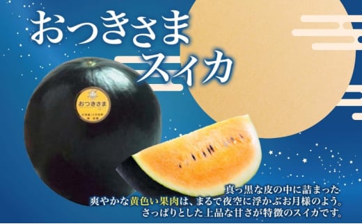 北海道 黄色 大玉 スイカ おつきさま 1玉 約7kg すいか 西瓜 黒皮 黒スイカ 黄 果物 フルーツ 旬 希少 貴重 甘い 国産 産地直送 ギフト  贈答品 お中元 お取り寄せ エーコープつきがた 送料無料 月形 [№5783-0456] - 北海道月形町｜ふるさとチョイス - ふるさと納税サイト