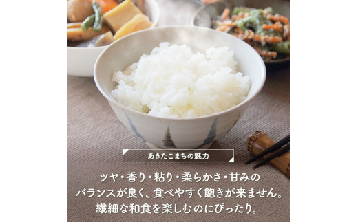 アイテムID:305345の画像3枚目