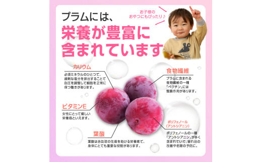 山形県大江町のふるさと納税 《先行予約》すもも「サンルージュ」約2kg 2～3L【2024年8月中旬頃～発送予定】【山形プラム・大江町産】 【001-079】