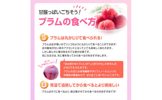 山形県大江町のふるさと納税 《先行予約》すもも「サンルージュ」約2kg 2～3L【2024年8月中旬頃～発送予定】【山形プラム・大江町産】 【001-079】