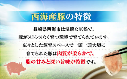 国産豚 切り落とし 1kg (500g×2パック) 小分け