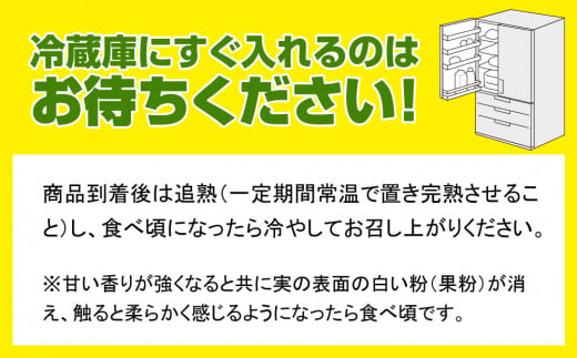 アイテムID:446129の画像5枚目