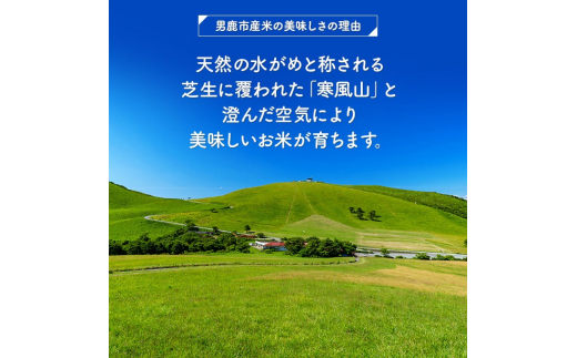 アイテムID:305345の画像5枚目