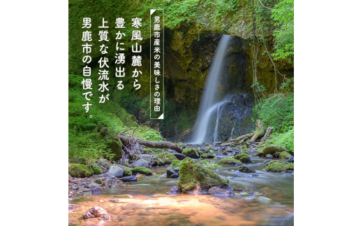 アイテムID:305345の画像6枚目