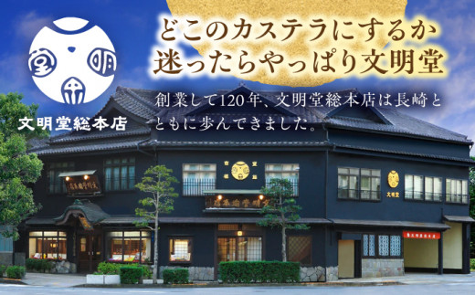 カステラ 長崎 贈答 ギフト 詰め合わせ 人気 和菓子 送料無料 常温 かすてら ざらめ ザラメ 文明堂 個包装 定期 定期便