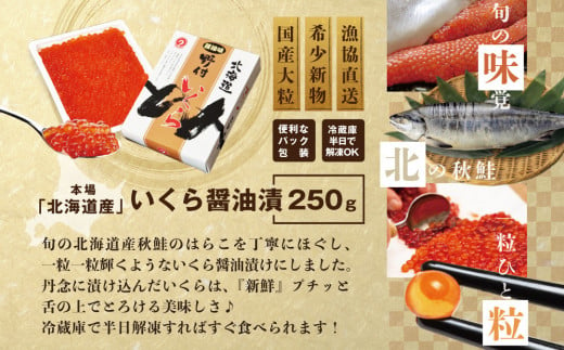 希少ないくら！計3kg【250g×1パック 12回 お届け】 12ヵ月 定期便 漁協 直送！本場「北海道」 いくら 醤油漬け（ 定期便 海鮮 いくら  イクラ 醤油漬け 鮭 北海道 定期便 海鮮 定期便 海鮮 定期便 海鮮 定期便 海鮮 定期便 海鮮 ふるさとチョイス ふるさと納税 ランキング ...