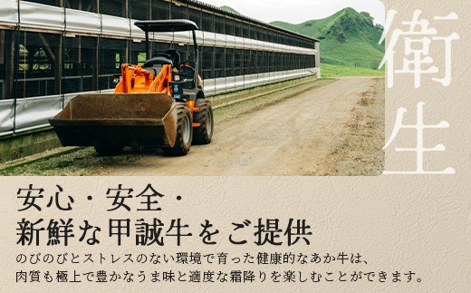 あか牛モモブロック 500g