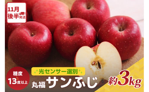 りんご　サンふじ約3kg丸福 光センサー選果 糖度13度以上 青森産りんご 【2024年11月後半発送】 11月 12月 1月 2月 3月 配送 リンゴ 五所川原りんご 1452375 - 青森県五所川原市