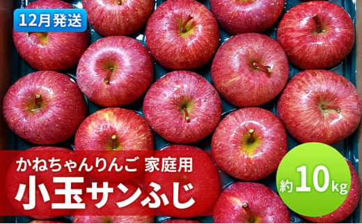 【12月発送】かねちゃんりんご 家庭用 小玉 サンふじ約10kg 食べきりサイズ 【弘前市産・青森りんご】 1425686 - 青森県弘前市