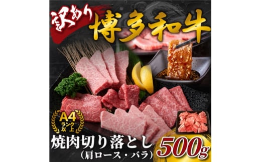 ＜毎月定期便＞訳あり!＜A4～A5＞博多和牛焼肉切り落とし(肩ロース・バラ)　500g全6回【4054409】 1425615 - 福岡県大野城市