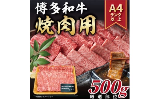 ＜毎月定期便＞博多和牛 A4～A5 焼き肉用＜厳選部位＞(500g)全12回【4054210】 1425571 - 福岡県大野城市