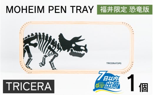 MOHEIM PEN TRAY (TRICERA)[ペントレイ アクリル 木 ペン おしゃれ デザイン 恐竜 インテリア 収納 雑貨][A-053011_02]