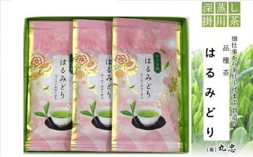 2077 深蒸し掛川茶 品種茶「 はるみどり 」100g×3本 ギフト箱入(➀新茶・令和7年5月上旬より発送 ②令和6年度産:今すぐ発送 丸忠 (※新茶受付あり)