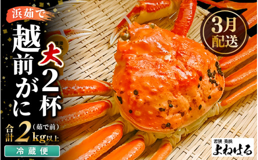 [先行予約]≪浜茹で≫ 天然 越前がに 大サイズ (茹で前約1kg) × 2杯[2026年3月上旬以降順次発送予定]冷蔵便 届いてすぐお召し上がりいただけます! タグ付 福井を代表する冬の味覚 [越前ガニ 越前蟹 かに ずわい ズワイ 福井] [m17-x002_03]