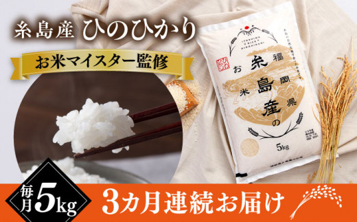 【全3回定期便】【こだわり精米】 糸島産 ひのひかり 5kg 糸島市 / RCF 米 お米マイスター [AVM006] 1220211 - 福岡県糸島市