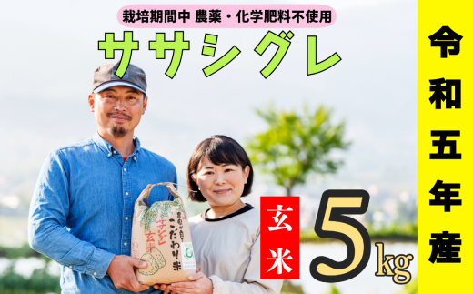 令和５年産 【栽培期間中 農薬・化学肥料不使用】ササシグレ(玄米)5kg真空包装(5-69A) 1424567 - 長野県飯山市