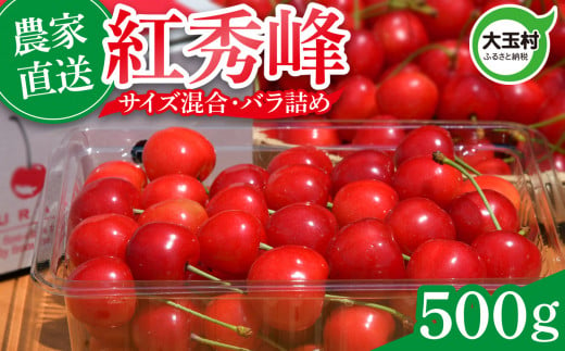 さくらんぼ 紅秀峰 500g 令和7年分 先行予約 バラ詰め サイズ混合（M/L/LL） ｜ 朝採れ もぎたて 農家直送 産地直送 果物 フルーツ 旬 新鮮 お取り寄せ ギフト 贈り物 サクランボ 福島県 大玉村 菊地果樹園 ｜ OT20-002-R7 1424141 - 福島県大玉村