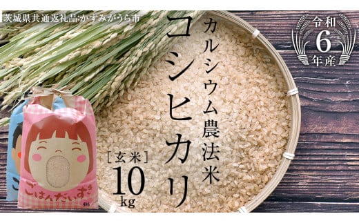 【 令和6年産 】カルシウム農法米 コシヒカリ 玄米 10kg ( 5kg × 2袋 ) (茨城県共通返礼品 かすみがうら市) 米 ごはん 粘り ツヤ コメ お米 玄米 [EX008sa]