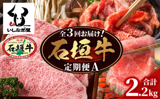 [全3回 定期便A] 石垣牛特選 焼肉・サーロインステーキ・すきしゃぶ 計2.2kg (いしなぎ屋)[ 特選肉 肉 高級 黒毛和牛 和牛 牛 ]AB-29