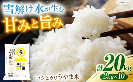 【新米】【先着30個限定】雪解け水で育った 島根県産「うやま米コシヒカリ（雲南市吉田町）」20kg(2kg×10) 島根県松江市/有限会社藤本米穀店 [ALCG011] 1261129 - 島根県松江市