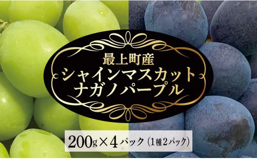 最上町産【シャインマスカット＆ナガノパープル】各200g×2P 1423585 - 山形県最上町