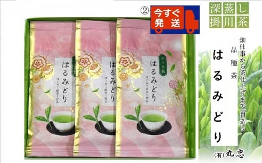 2077 ②令和6年度産:今すぐ発送 深蒸し掛川茶 品種茶「 はるみどり 」静岡の茶草場農法 100g×3本 ギフト箱入(➀新茶･令和7年5月上旬より発送 ②令和6年度産:今すぐ発送 丸忠 (※新茶受付あり)