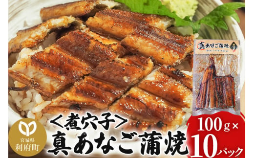 真あなご蒲焼＜煮穴子＞ 100g×10P