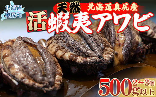 【先行予約】奥尻産天然アワビ500ｇ以上 【 ふるさと納税 人気 おすすめ ランキング あわび アワビ 鮑 貝 天然 魚介 蝦夷アワビ 新鮮 活あわび 活アワビ 北海道 奥尻町 送料無料 】 OKUF012 1425212 - 北海道奥尻町