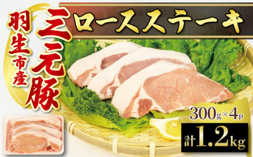 ロース ステーキ 1.2kg ( 100g × 3枚) ×4P 国産 三元豚 冷凍 真空 小分け 個包装 たっぷり 大容量 大きめ 厚切り 豚肉 豚 ブタ ポーク ジューシー お弁当 おかず 惣菜 晩ごはん 贅沢 ギフト お中元 御中元 贈り物 贈答  埼玉県 羽生市 1425722 - 埼玉県羽生市