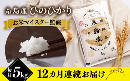 【全12回定期便】【こだわり精米】 糸島産 ひのひかり 5kg 糸島市 / RCF 米 お米マイスター [AVM008] 1220213 - 福岡県糸島市