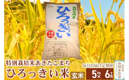 《定期便6ヶ月》【新米予約】【玄米】 秋田県産 あきたこまち 5kg 令和6年産 特別栽培米 ひろっきい米 1422138 - 秋田県由利本荘市