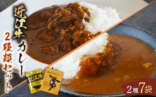 近江牛 カレー 2種 セット　澤井姫和牛 ( 近江牛 ) カレー  200g × 2袋 近江牛 カレー 160g × 5袋 セット 計 7袋 カレー【 レトルト カレー 近江牛 カレー 黒毛和牛 牛肉 1200g 肉 ギフト 自宅用 高級 黒毛和牛 国産 ごはんのお供 ふるさと納税 ブランド牛 三大和牛 和牛 贈り物 神戸牛 松阪牛 に並ぶ 日本三大和牛 滋賀県 竜王町 澤井牧場 送料無料 】 1469533 - 滋賀県竜王町