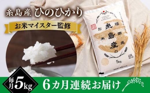 【全6回定期便】【こだわり精米】 糸島産 ひのひかり 5kg 糸島市 / RCF 米 お米マイスター [AVM007] 1220212 - 福岡県糸島市