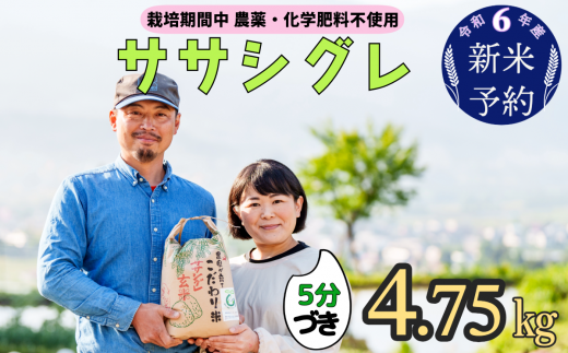 令和６年産　新米予約 【栽培期間中 農薬・化学肥料不使用】ササシグレ(5分づき)4.75kg真空包装(6-51) 1424569 - 長野県飯山市