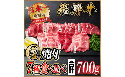 飛騨牛　焼肉7種食べ比べ(カルビ・トモサンカク・モモ・ロース・カイノミ・ミスジ・ザブトン)約700g【1532679】 1425218 - 岐阜県羽島市