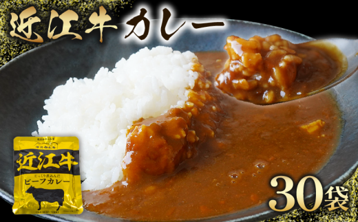 近江牛 カレー 160g × 30袋 セット [ レトルト カレー 近江牛 カレー 黒毛和牛 牛肉 4800g 肉 ギフト 自宅用 高級 黒毛和牛 国産 ごはんのお供 ふるさと納税 ブランド牛 三大和牛 和牛 贈り物 内祝い 神戸牛 松阪牛 に並ぶ 日本三大和牛 滋賀県 竜王町 澤井牧場 送料無料 ]