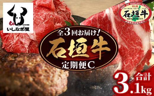 【全3回 定期便C】 石垣牛　切り落としスライス・ハンバーグ・肩ロースすきしゃぶ　計3.1kg（いしなぎ屋）【 特選肉 肉 高級 黒毛和牛 和牛 牛 】AB-31 1425769 - 沖縄県石垣市