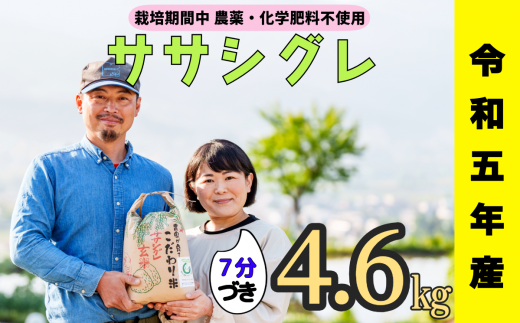 令和５年産 【栽培期間中 農薬・化学肥料不使用】ササシグレ(７分づき)4.6kg真空包装(5-67A) 1424565 - 長野県飯山市