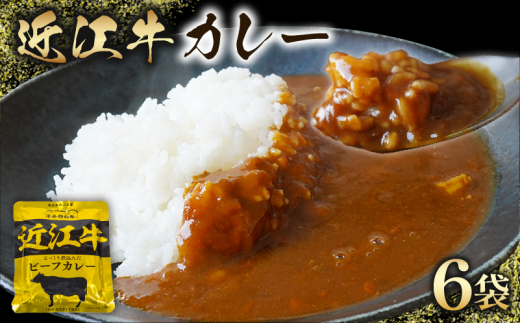 近江牛 カレー 160g×6袋セット 【 