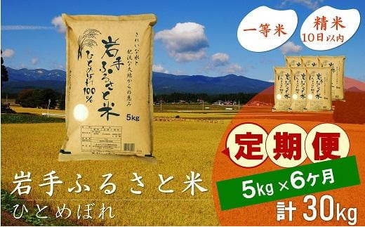 ☆全6回定期便☆ 岩手ふるさと米 5kg×