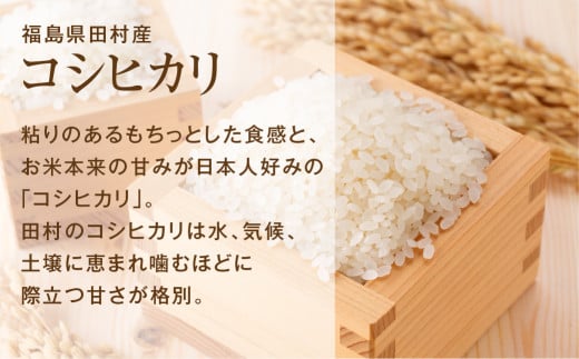 福島県田村市のふるさと納税 【新米】 ＼ 先行予約 ／ コシヒカリ 10kg 令和6年産 稲穂付き 紙袋 11月お届け 米　先行予約 こめ コメ 10キロ 福島県産米 田村市 人気 ランキング おすすめ 初物 お歳暮 ギフト 故郷 ほりこしフォーライフ